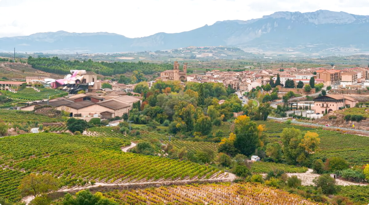 Nuestro inventario incluye una amplia variedad de vehículos.